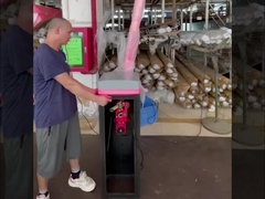 HCW ที่จอดรถ Boom Barrier Gate 24v DC Mechanism Motor Brushless สําหรับความปลอดภัยของประตูสมาร์ท